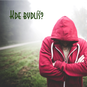 kde-bydlis