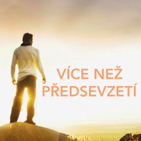 vicenezpredsevzeti